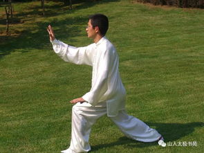 百度热搜二十四式太极拳（二十四式太极拳哔哩哔哩）