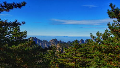 百度热搜黄山（百度热搜黄山市有姓于的吗）