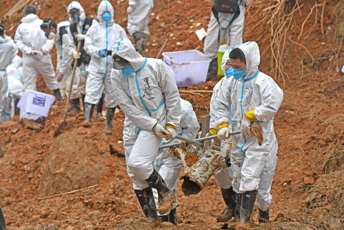 关于百度热搜东航空难遗体残肢的信息