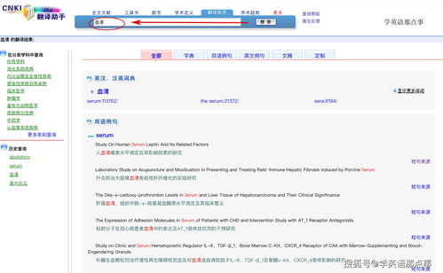 百度热搜在线翻译成英文（热搜怎么翻译）