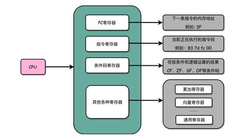 百度热搜的算法机制是什么意思（算法控制热搜）