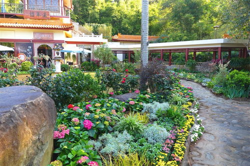 百度热搜深圳仙湖植物园开门了吗（深圳市仙湖植物园春节有没有开）