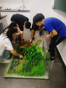 植物保护专业怎么样（浙江大学植物保护专业怎么样）