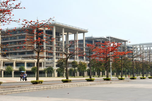 广东工业大学（广东工业大学学科评估）