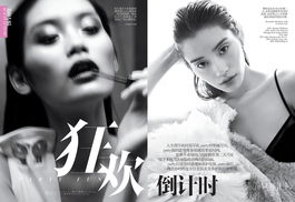 vogue是什么意思啊（路虎vogue）