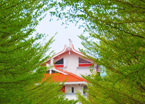 贵州中医药大学时珍学院（贵州中医药大学时珍学院寒假放假时间）