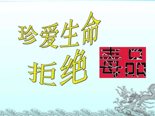 宁夏教育平台登录入口（禁毒宁夏教育平台登录入口）