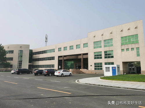 山东化工学院（山东化工学院官网）