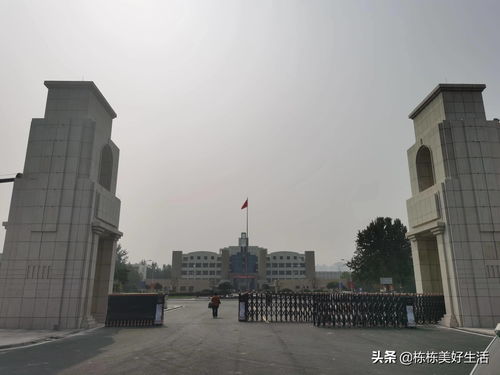 山东石油化工学院（山东石油化工学院怎么样）