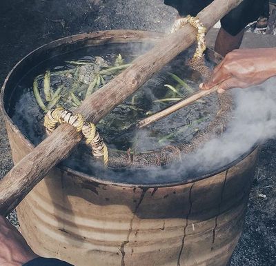 关于香草视频在线免费观看的信息