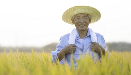 赞美劳动的简短句子(赞美劳动的简短句子一年级)