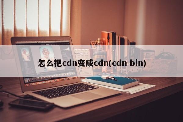 怎么把cdn变成cdn(cdn bin)