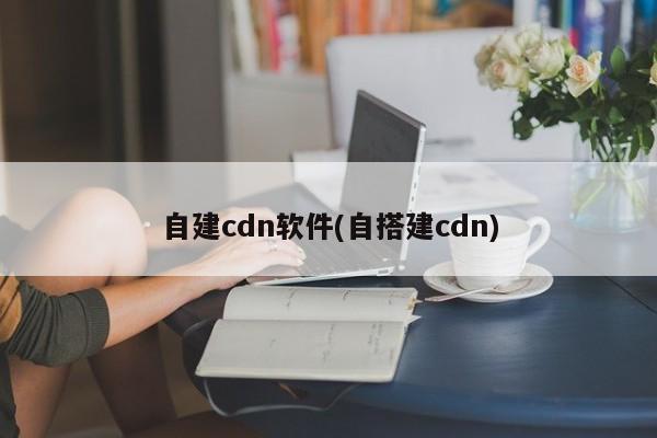 自建cdn软件(自搭建cdn)