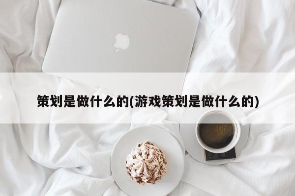 策划是做什么的(游戏策划是做什么的)