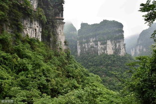 百度热搜梵净山（梵净山为什么这么火）