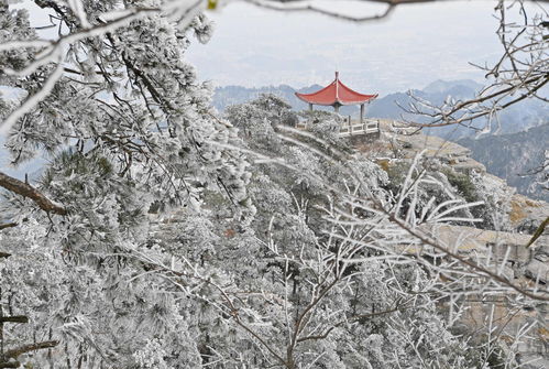 百度热搜庐山雪景图片（庐山雪景照片）